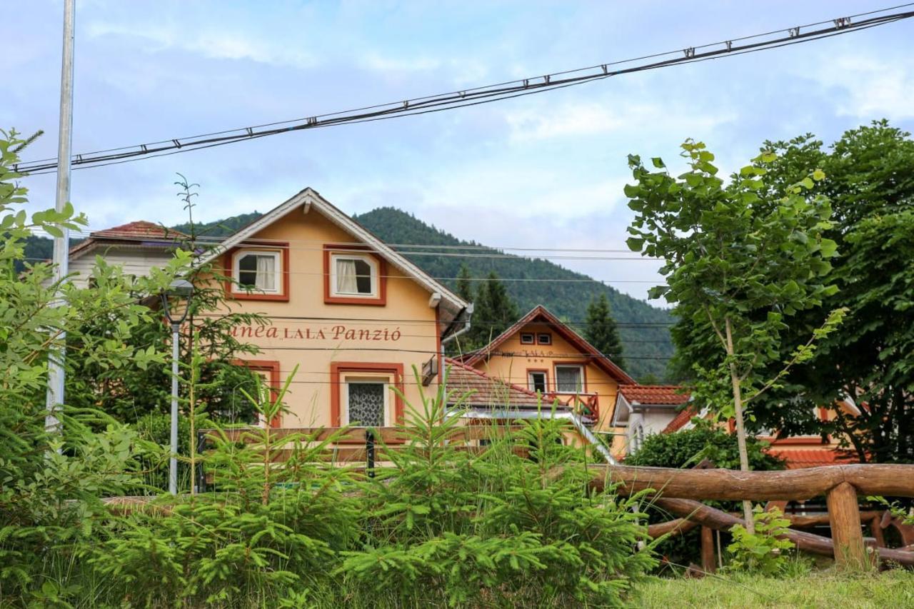 Pensiunea Lala BaileTusnad Exterior foto
