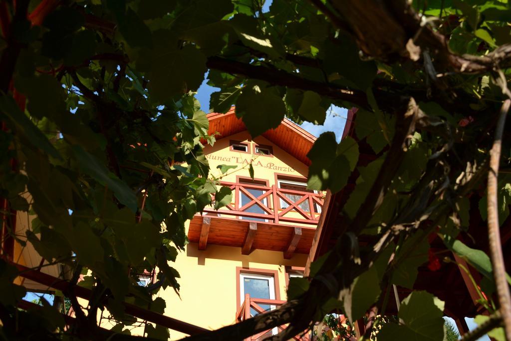 Pensiunea Lala BaileTusnad Exterior foto